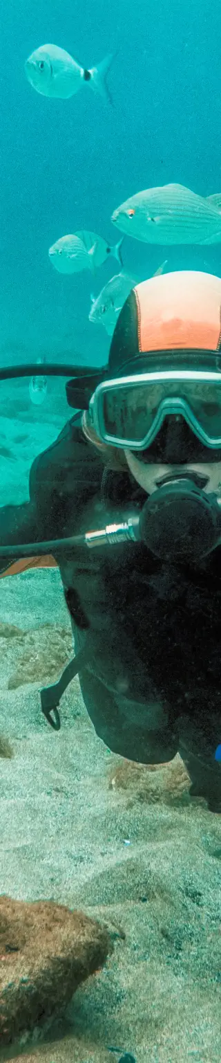 Einsteigerfreundliche Tauchplätze geniessen